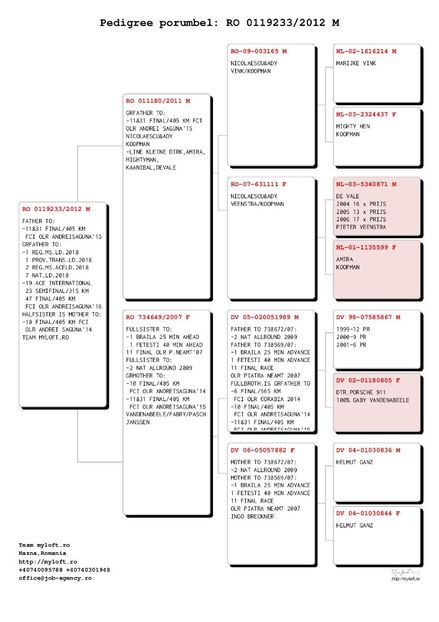 RO01192332012M-page-001 - 0 REPRODUCATORI 2019 IN CONSTRUCTIE