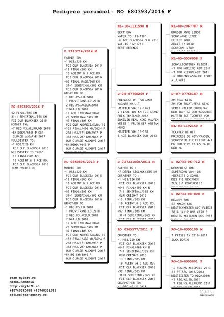 RO6803932016F-page-001 - 0 REPRODUCATORI 2019 IN CONSTRUCTIE