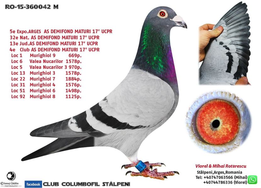 received_253501928699534 - 0 REPRODUCATORI 2019 IN CONSTRUCTIE