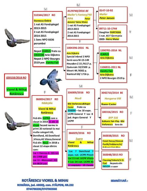 Rotarescu-Mihai-RO-020158-2018-pedigree - 0 REPRODUCATORI 2019 IN CONSTRUCTIE