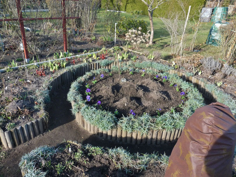 30.03.2018 - Garofite