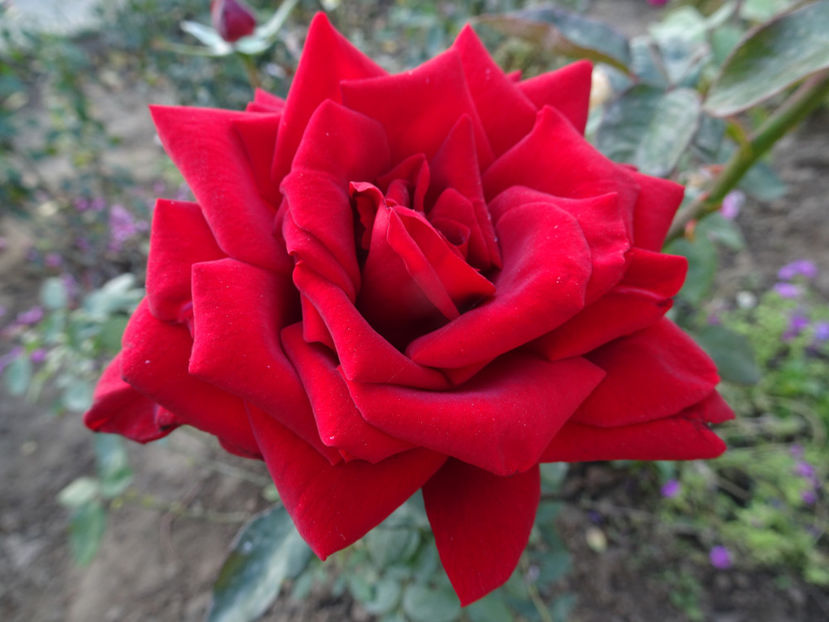 Bordeaux - SFARSIT DE OCTOMBRIE