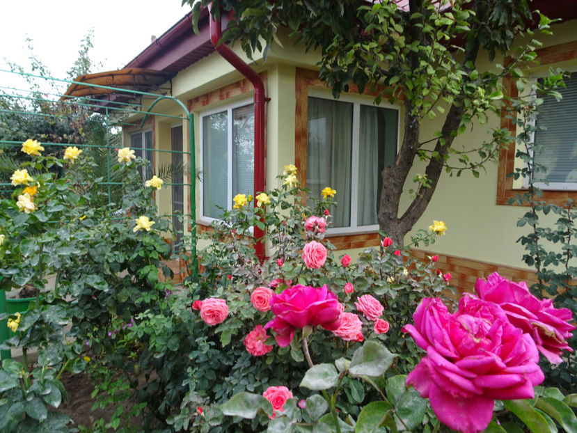  - SFARSIT DE OCTOMBRIE