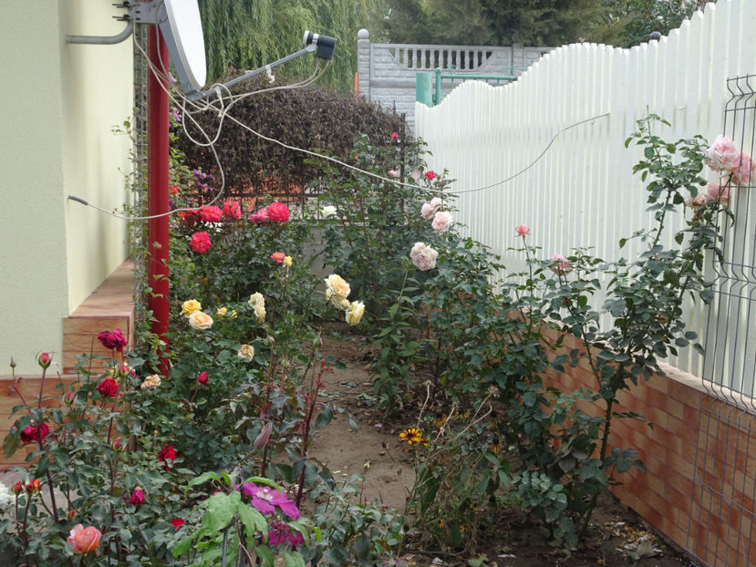  - SFARSIT DE OCTOMBRIE