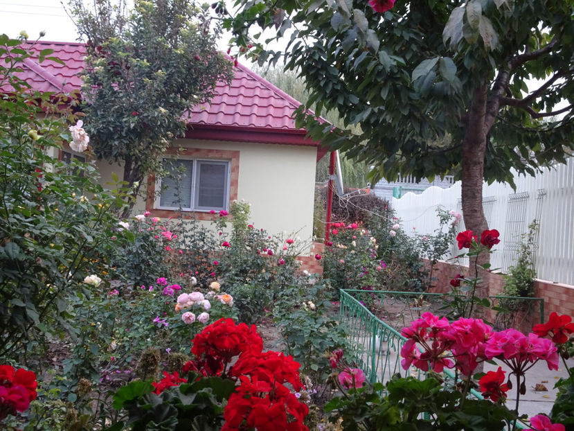  - SFARSIT DE OCTOMBRIE