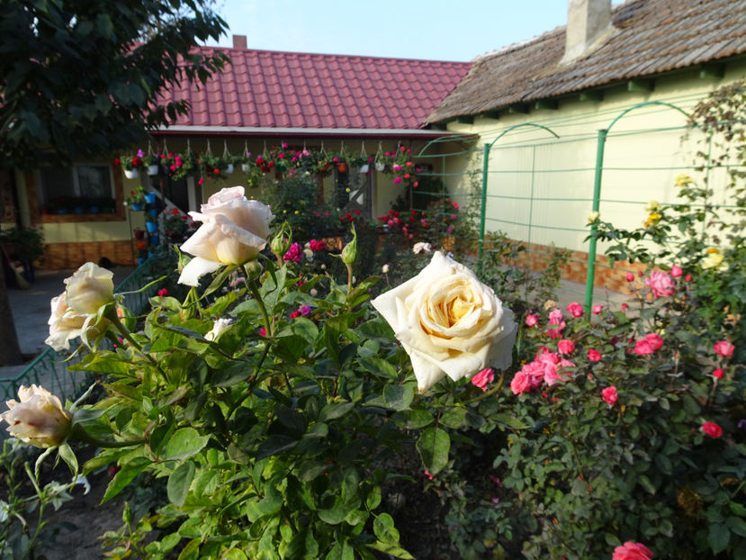 Ceam Caramel - SFARSIT DE OCTOMBRIE