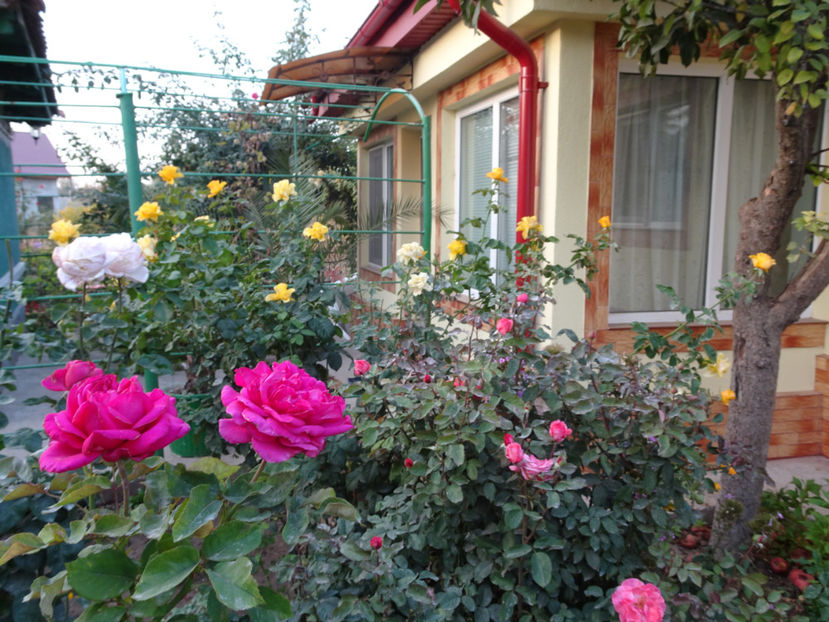  - SFARSIT DE OCTOMBRIE