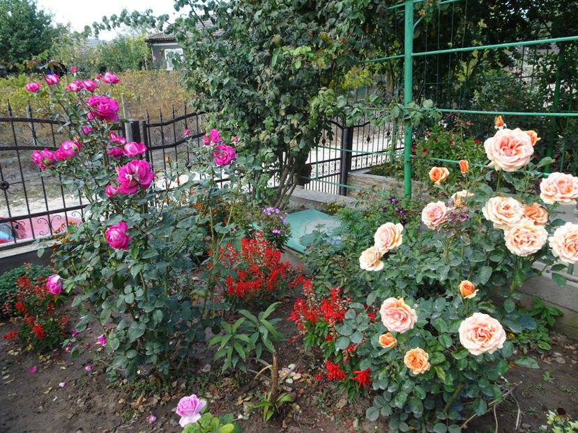  - SFARSIT DE OCTOMBRIE