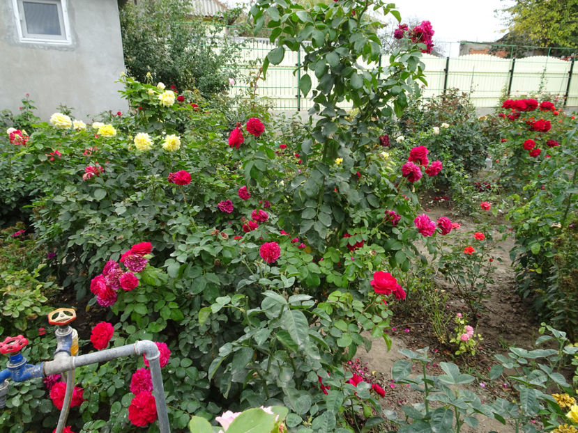  - SFARSIT DE OCTOMBRIE