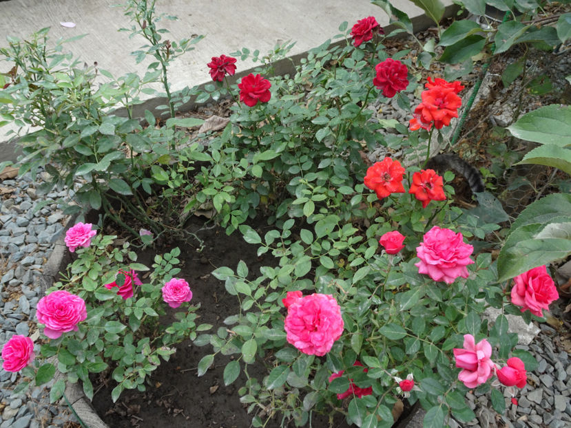 mini - SFARSIT DE OCTOMBRIE