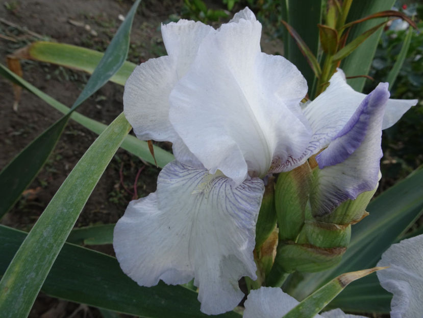  - SFARSIT DE OCTOMBRIE