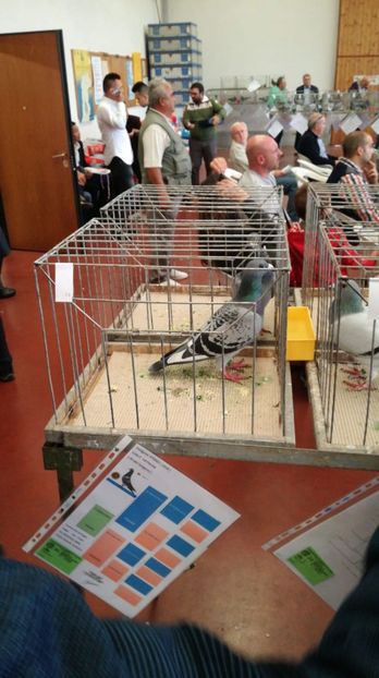 IMG-20181021-WA0011 - A2 REZULTATE 2018 ZBURATORI