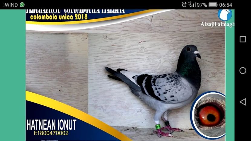 Locul 5 AS - A2 REZULTATE 2018 ZBURATORI