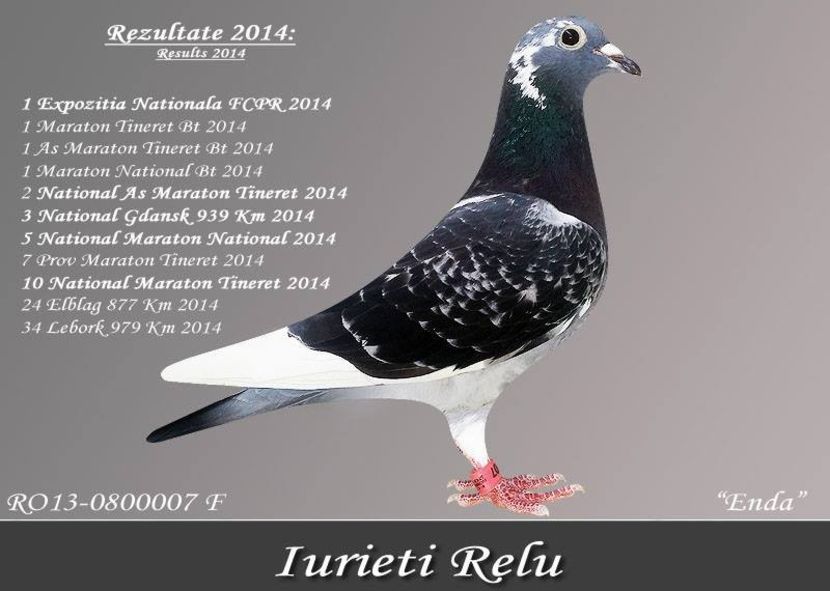 CAMPIOANA 007 - MAMA LUI 003 - 0700003-2014M-IURIETI RELU