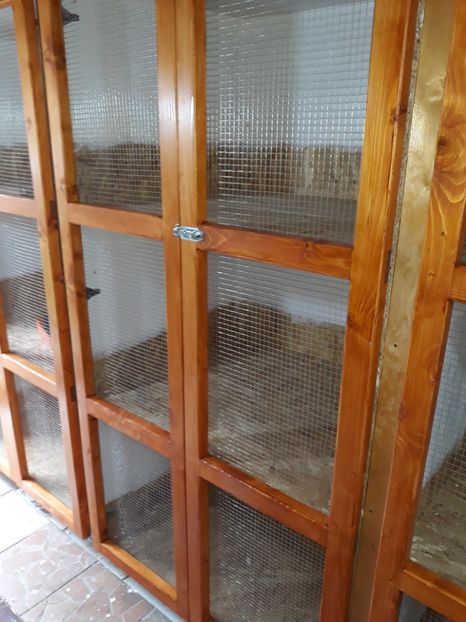  - A---RENOVARE ADAPOST