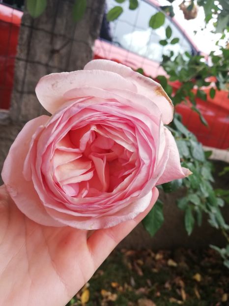  - Abraham Darby