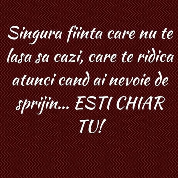  - Poze 5