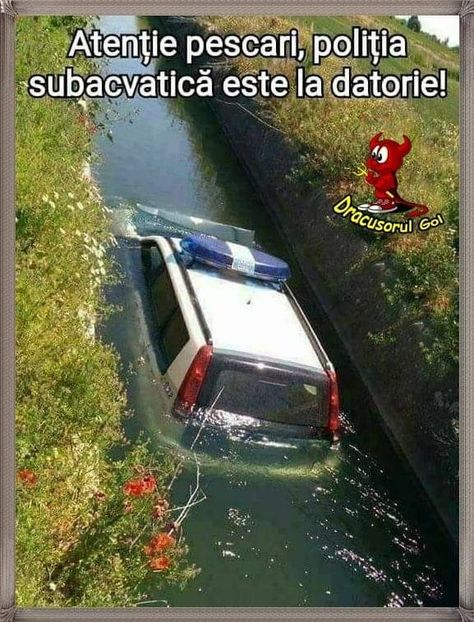  - Poze 5
