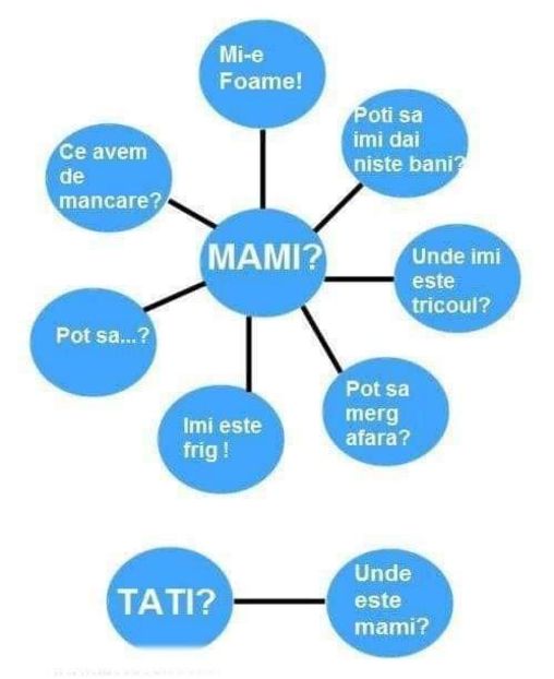  - Poze 5