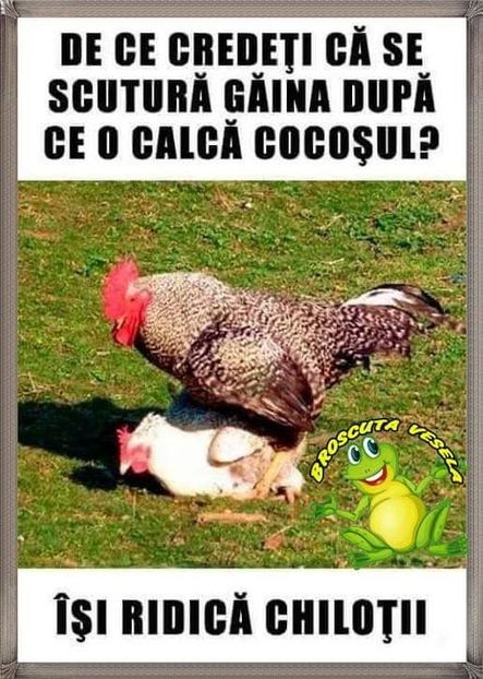  - Poze 5