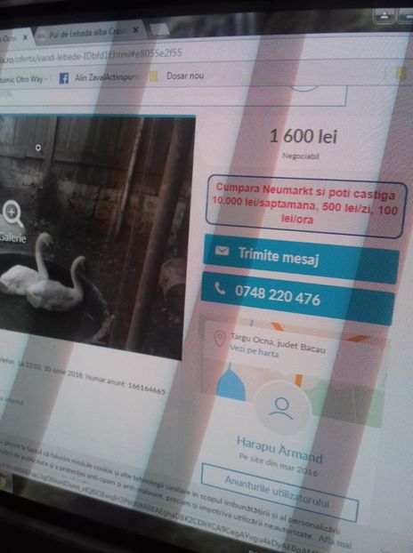 IMG-20180624-WA0008 - An2018