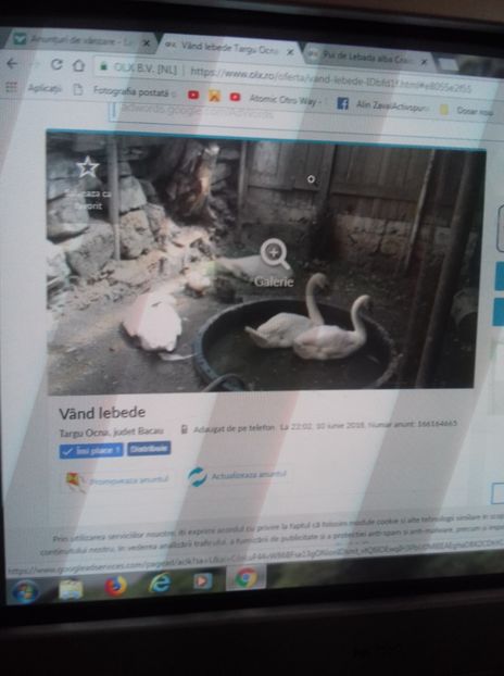 IMG-20180624-WA0006 - An2018