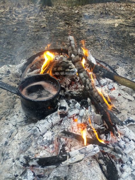  - Peisaje Filipestii de Padure