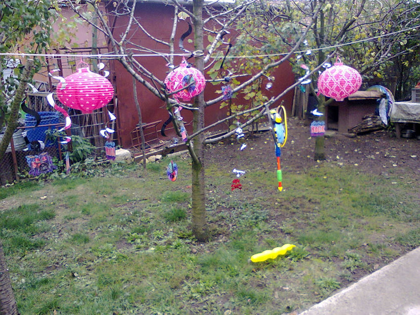 Fotografie4425 - Aniversare 8 ani MarcThomas 2018