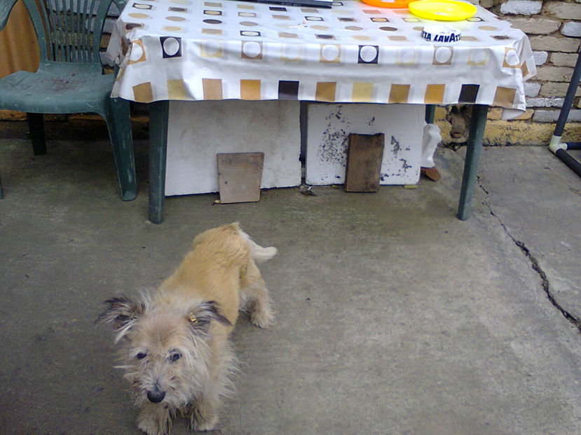 Fotografie4443 - Aniversare 8 ani MarcThomas 2018