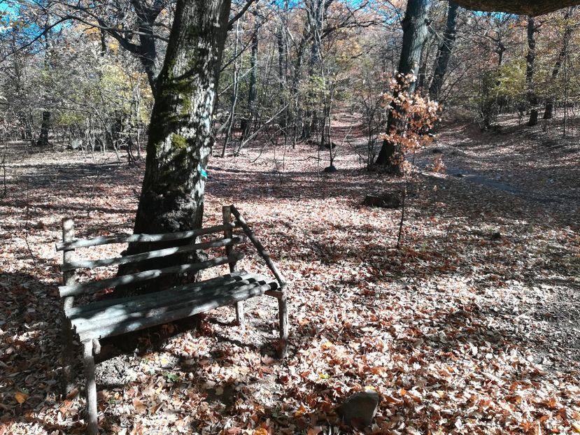  - Vârful Țuțuiatu