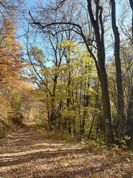  - Vârful Țuțuiatu