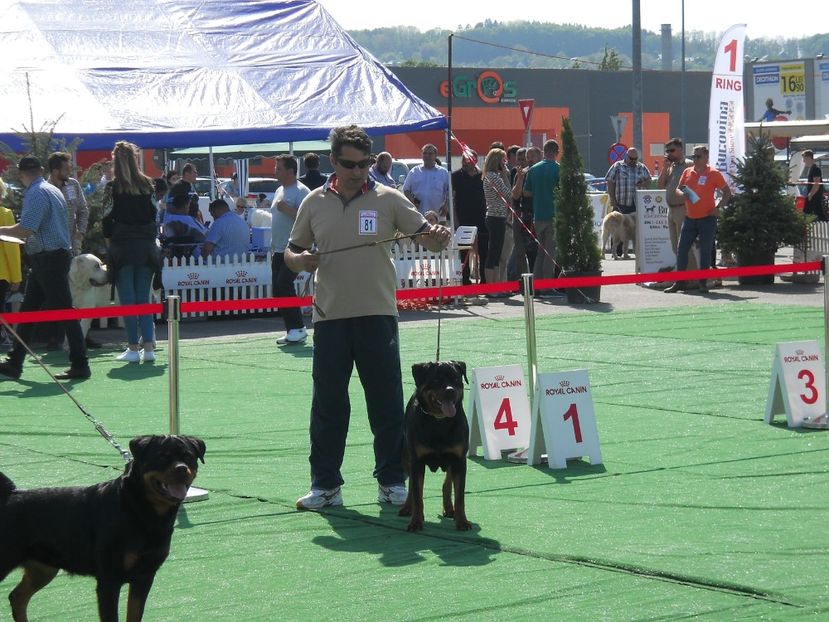  - Bucovina Dog Show 2018