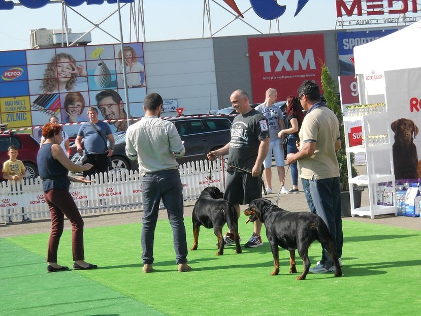  - Bucovina Dog Show 2018