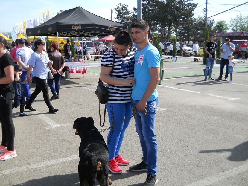  - Bucovina Dog Show 2018