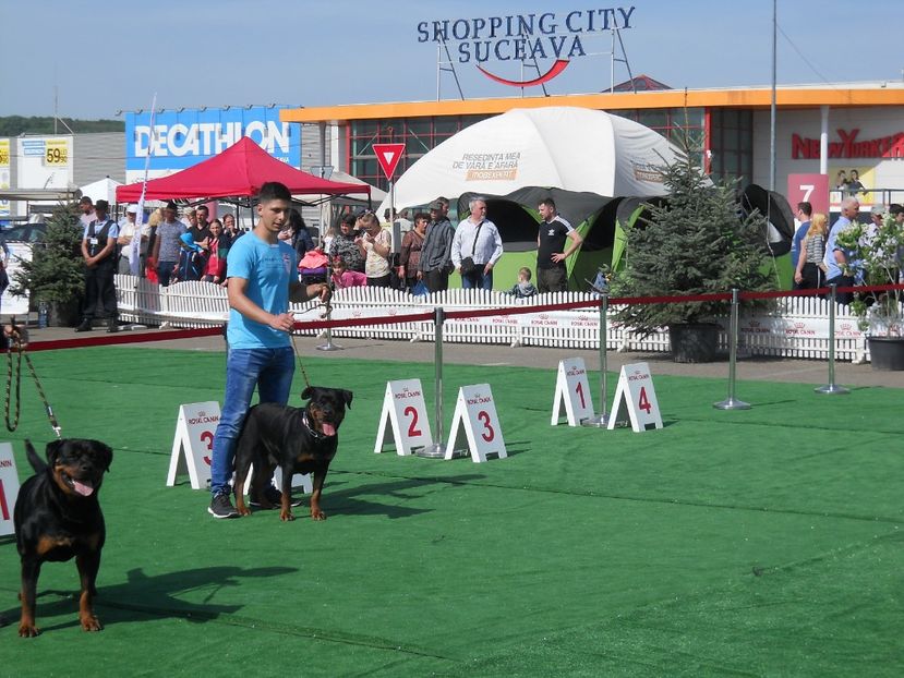  - Bucovina Dog Show 2018