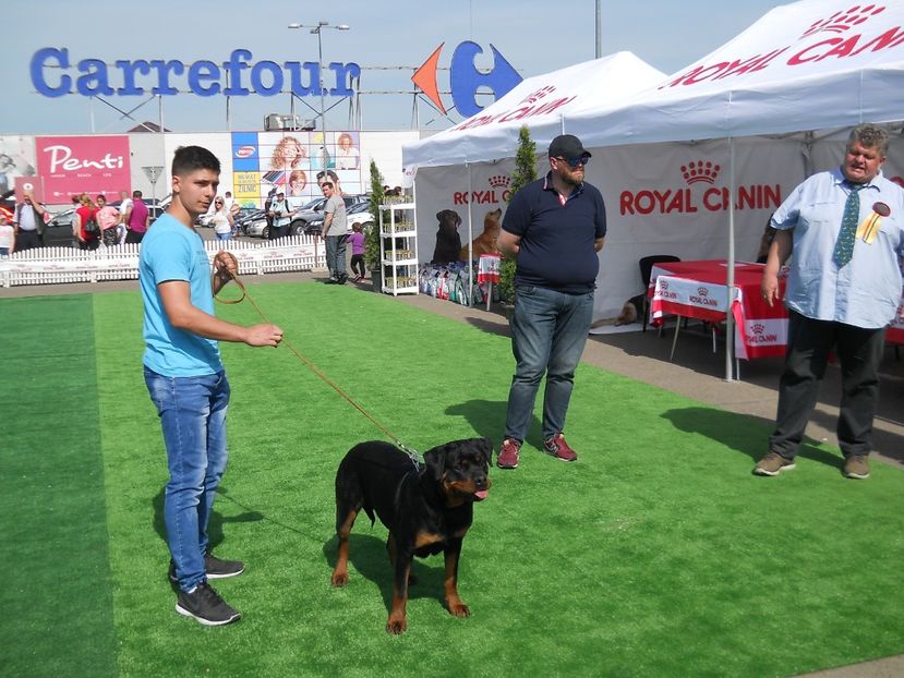  - Bucovina Dog Show 2018