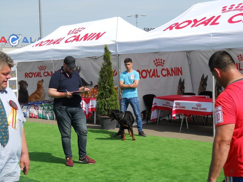  - Bucovina Dog Show 2018