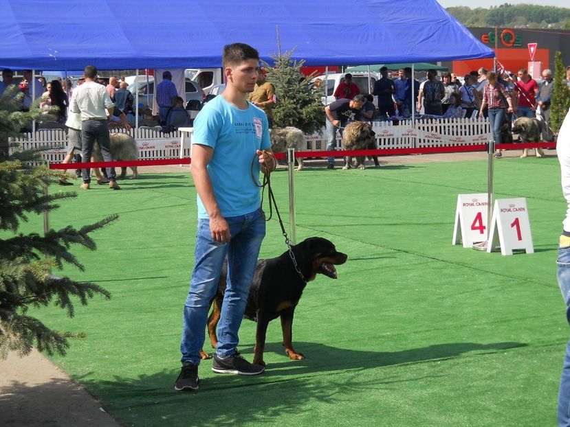  - Bucovina Dog Show 2018