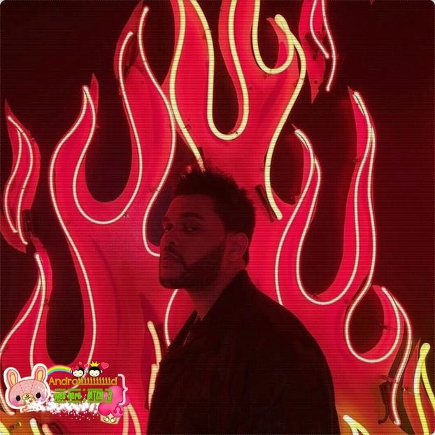 ➟♚`STARBOY↫❤☓. Dacă nu e altcineva care să-ți țină companie și nu te deranjează, sigur. - SO1xE01 Who are you to judge