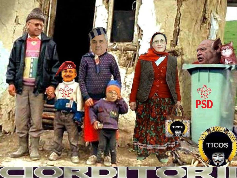  - Poze haioase pamflet