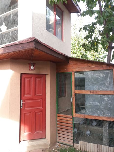  - eu 0720298370 Voluntari