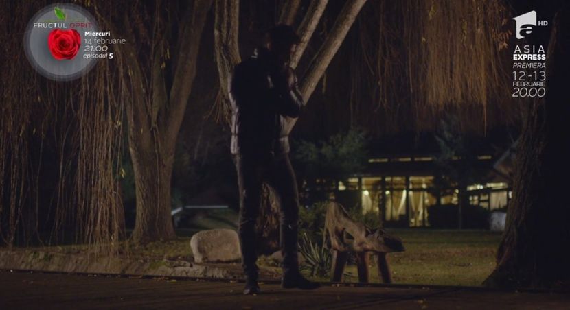 bandicam 2018-10-29 16-36-39-554 - 01 fructul oprit 01-04 - 3