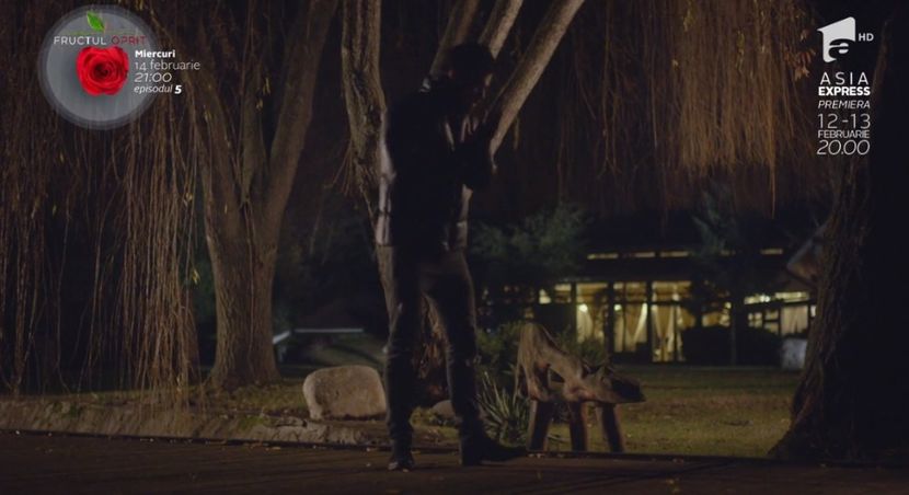 bandicam 2018-10-29 16-36-39-771 - 01 fructul oprit 01-04 - 3