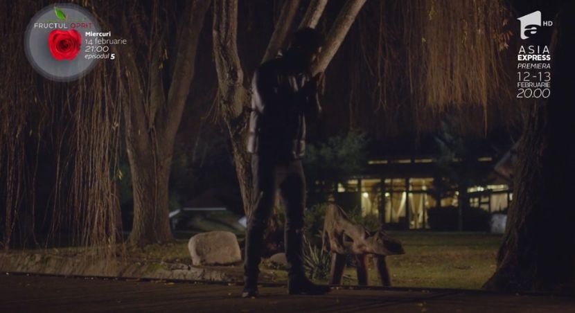 bandicam 2018-10-29 16-36-39-977 - 01 fructul oprit 01-04 - 3