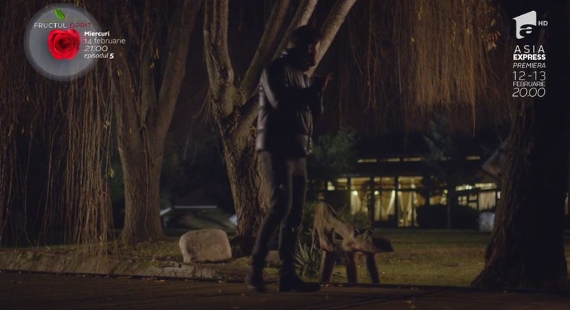 bandicam 2018-10-29 16-36-40-248 - 01 fructul oprit 01-04 - 3