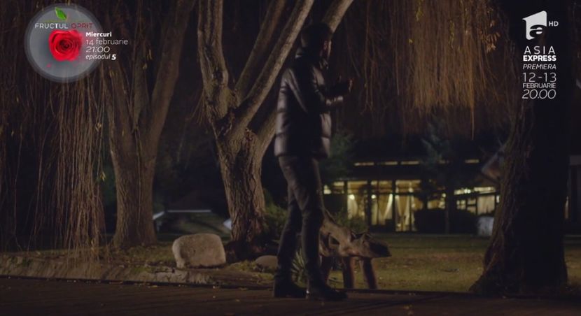 bandicam 2018-10-29 16-36-40-778 - 01 fructul oprit 01-04 - 3