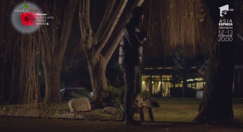 bandicam 2018-10-29 16-36-41-272 - 01 fructul oprit 01-04 - 3