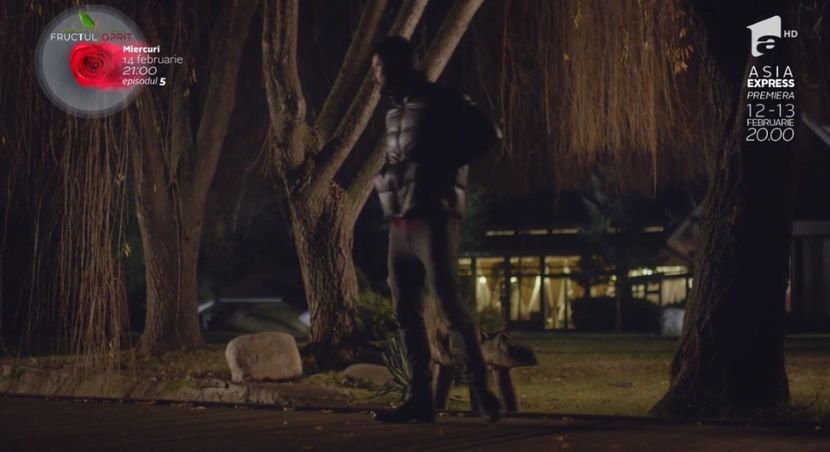 bandicam 2018-10-29 16-36-42-766 - 01 fructul oprit 01-04 - 3