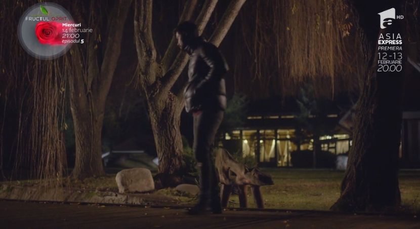 bandicam 2018-10-29 16-36-43-015 - 01 fructul oprit 01-04 - 3