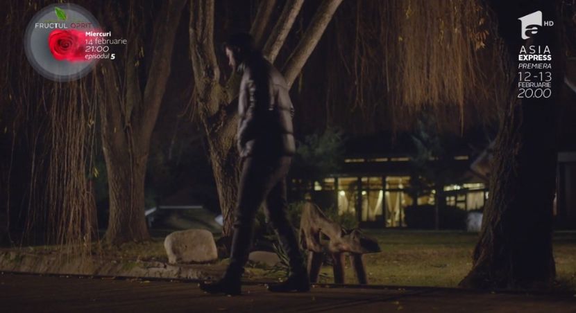 bandicam 2018-10-29 16-36-43-291 - 01 fructul oprit 01-04 - 3